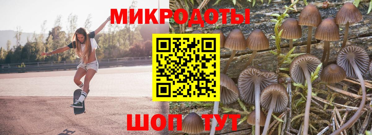 Гурьевск  где найти наркотики  Вход с VPN  Псилоцибиновые грибы Psilocybe 
