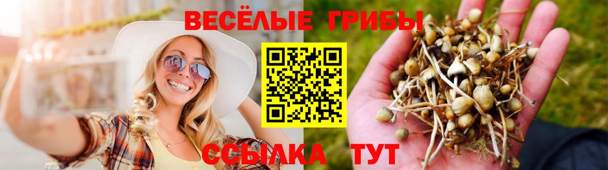 Псилоцибиновые грибы Magic Shrooms Гурьевск